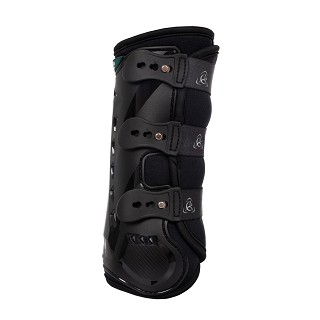 Stinchiere dressage posteriori anatomiche